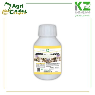 لمداثرين لمداثرين 5%