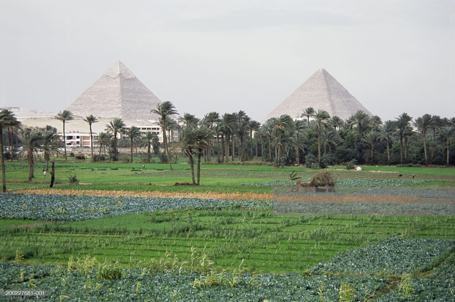 اجري-كاش.jpg