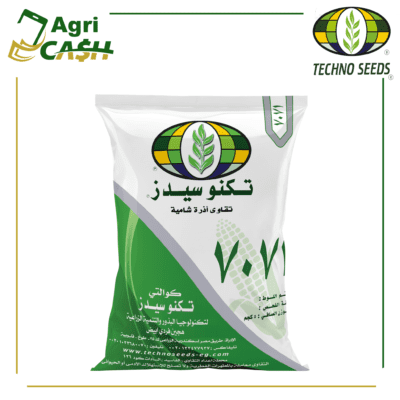 7071.png هجين أذرة شامية فردي أبيض 7071
