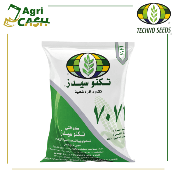 7071.png هجين أذرة شامية فردي أبيض 7071