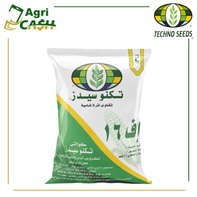 إف-16.png هجين أذرة شامية فردي أبيض أف 16