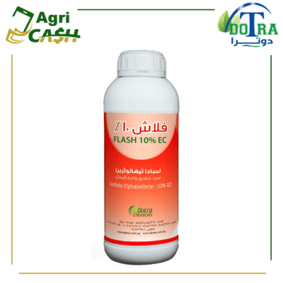 فلاش فلاش