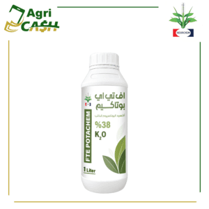 اف تي اي بوتاكيم