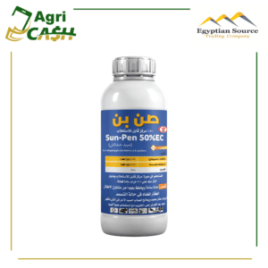 صن بن 50%