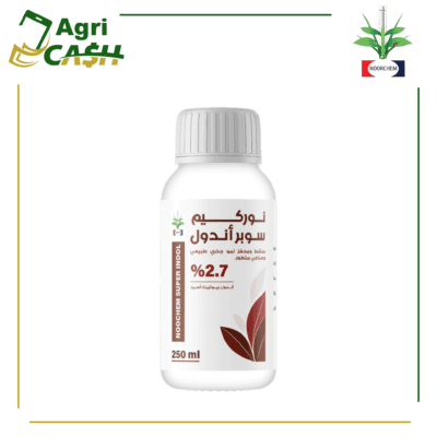 نور كيم سوبر اندول نوركيم سوبر اندول