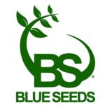 Blueseeds